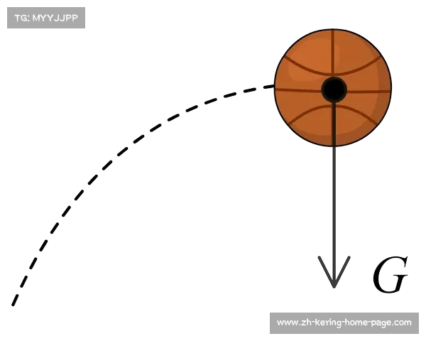 法国篮球甲级联赛深度解析 探秘法篮甲的历史魅力与竞技风采